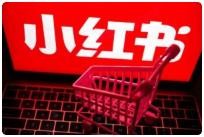 小红书电商带货课2期有货源无货源虚拟产品付费投流月利润20万全套玩法 小红书电商带货课2期有货源无货源虚拟产品付费投流月利润20万全套玩法