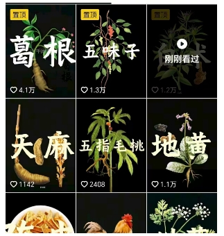 抖音中草药AI视频变现渠道