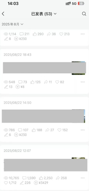 公众号图文赞赏项目收益示例