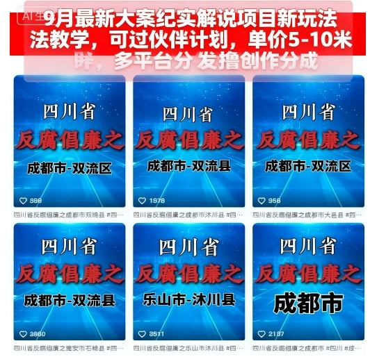 大案纪实解说项目 大案纪实解说项目