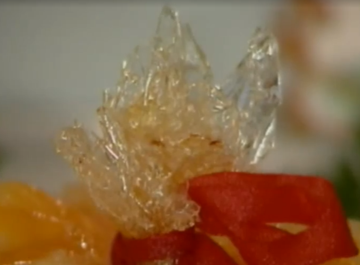 中国八大菜系名菜烹饪800例电视系列教学片封面