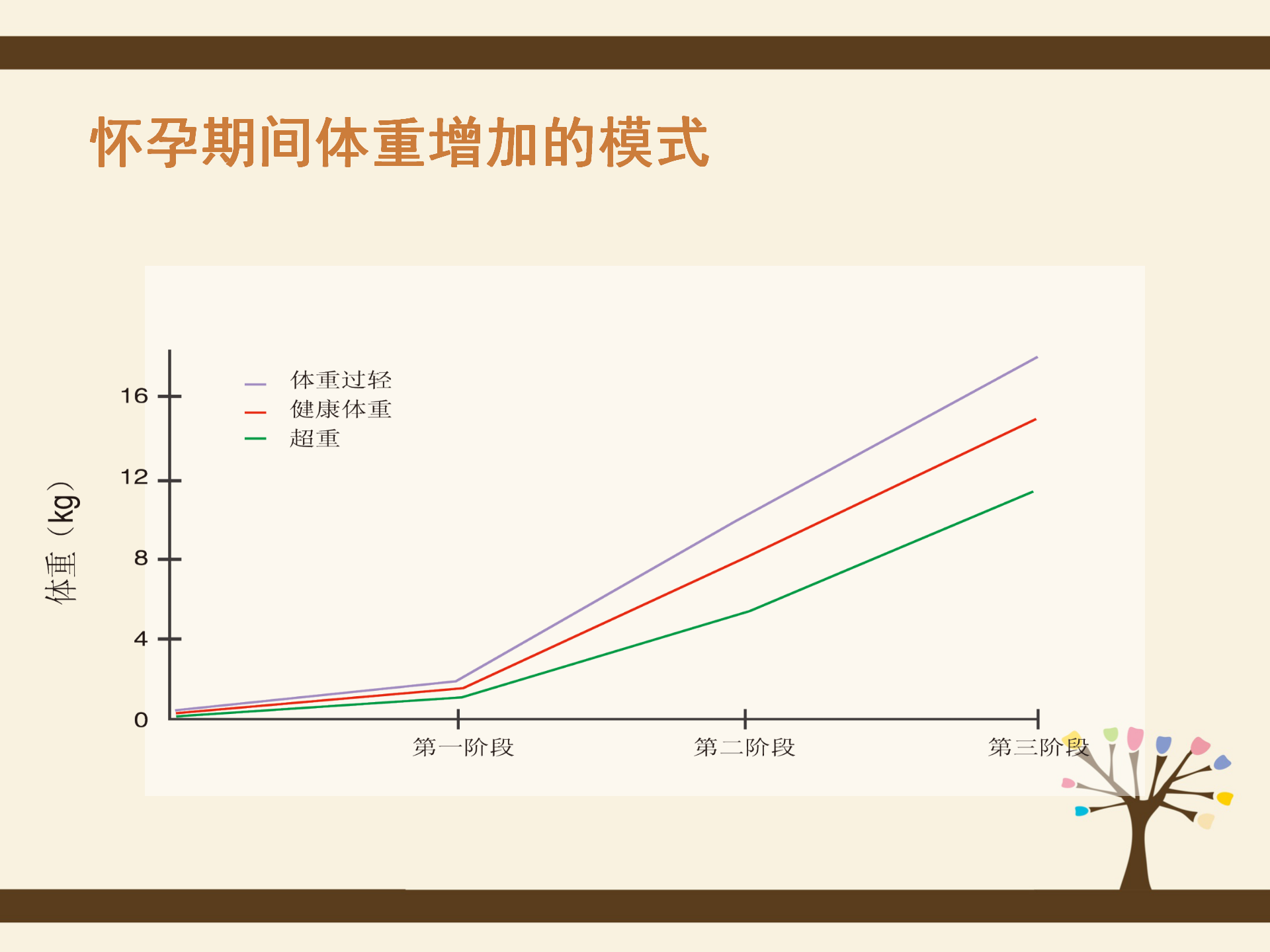 2026年五四孕期规划
