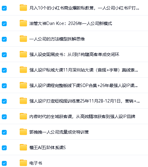 一人公司与强人设IP全套视频课教程