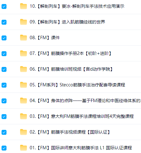 意大利筋膜手法FM Course全套视频教程资源