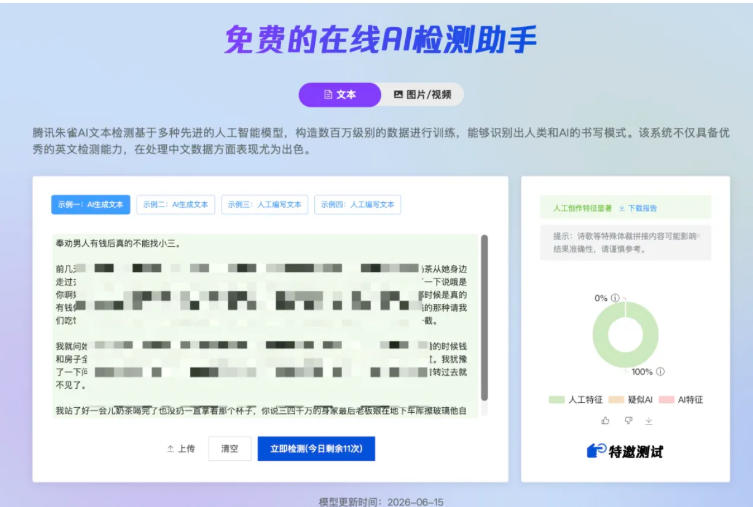 AI检测结果详情