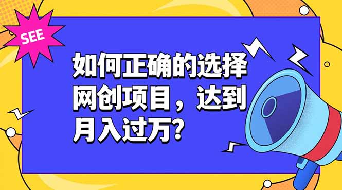 网创项目选择指南 网创项目选择指南